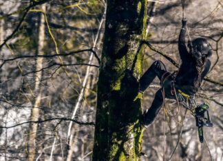 В Полтавской области школьник пилил лес и продавал на ОLХ