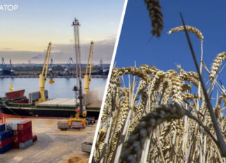 В Турции заявили, что зерновое соглашение продолжат – Bloomberg