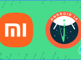Xiaomi 13 и Xiaomi Pad 6 уже получили тестовые версии Android 14