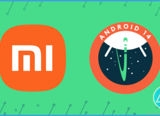 Xiaomi 13 и Xiaomi Pad 6 уже получили тестовые версии Android 14