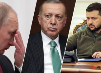 Зеленский и путин могут приехать в Турцию — СМИ