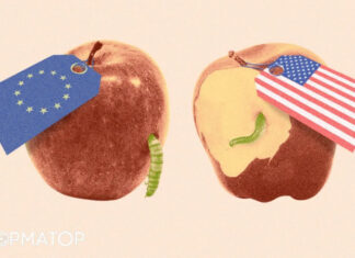 А как у них? Коррупция в ЕС и США