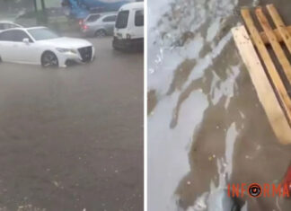 Без подрывов ГЭС: в России затопило Владивосток, автомобили уходят под воду. Видео