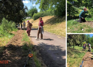 Безвозмездная помощь: ботанический сад имени Гришко просит киевлян помочь в уборке и уходе за растениями