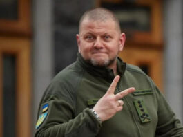 Главнокомандующий Валерий Залужный в соцсетях
