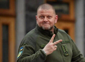 Главнокомандующий Валерий Залужный в соцсетях