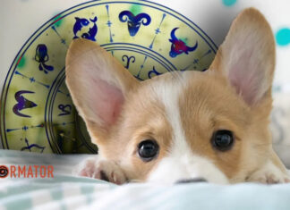 Гороскоп на 10 июня для всех знаков Зодиака – день бесед, влияющих на судьбу