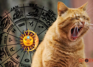 Гороскоп на 13 июня для всех знаков Зодиака – среди дня может клонить в сон