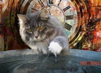 Гороскоп на 15 июня для всех знаков Зодиака: день жуликов и фантазеров