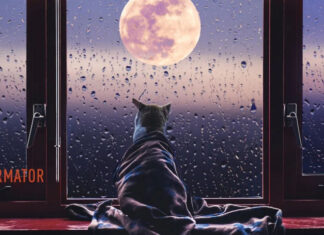 Гороскоп на 3 июня для всех знаков Зодиака – подарки сегодня будут с подвохом