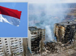 Индонезия предложила прекратить огонь, ввести миротворцев ООН в Украину и провести референдумы