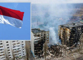 Индонезия предложила прекратить огонь, ввести миротворцев ООН в Украину и провести референдумы