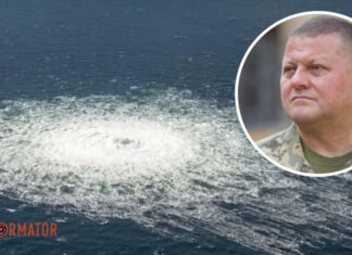 Кто стоит за подрывом Северных потоков: расследование, где указывается, что операцией мог управлять Залужный