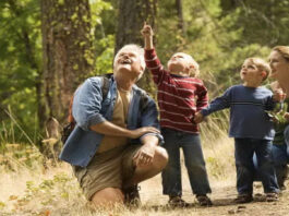 Летающие клещи опасны для людей – какой у них вид