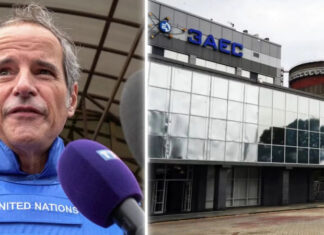 МАГАТЭ не увидели мин на ЗАЭС во время последнего визита – заявление Гросси