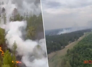 Масштабные лесные пожары в Казахстане – погибли не менее 14 человек