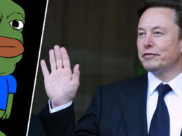 Миллиардер Илон Маск заблокировал аккаунт известной криптовалюты и вызвал ее обвал почти вдвое