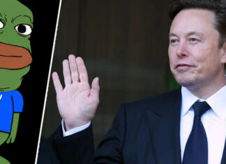 Миллиардер Илон Маск заблокировал аккаунт известной криптовалюты и вызвал ее обвал почти вдвое