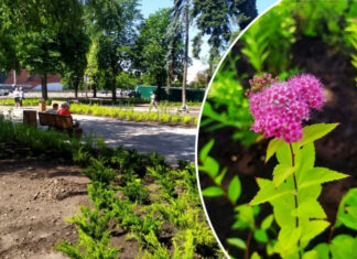 На киевской Шулявке вместо «Шанхая» появится сквер. Как он будет выглядеть