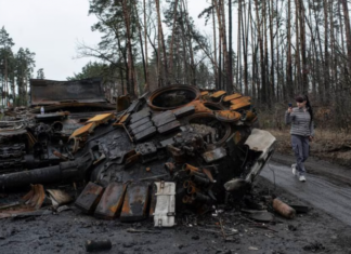 Nexter создаст дрон-камикадзе Larinae с дальностью полёта до 80 км, который сможет уничтожать танки