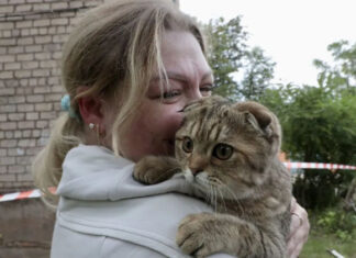 От стресса не хотел даже пить. Из криворожской многоэтажки спасли кота Симбу