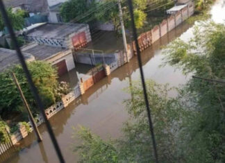 Почему Голая Пристань закрыта на карантин