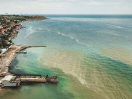 Почему вода в Черном море позеленела, чем это опасно и чего ждать дальше