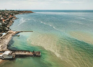 Почему вода в Черном море позеленела, чем это опасно и чего ждать дальше