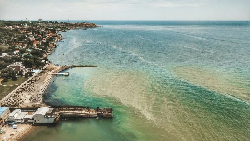 Почему вода в Черном море позеленела, чем это опасно и чего ждать дальше