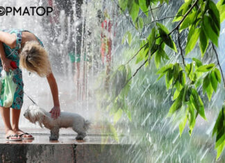 Погода 16 июня — в каких областях Украины будут ливни и грозы