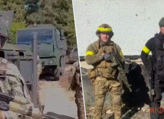 РДК и легион Свобода россии анонсировали новую вылазку на территорию рф — пропагандисты уже кричат о танках на границе