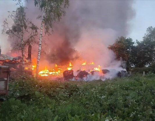 Россияне атаковали приграничье Черниговщины: есть погибшая