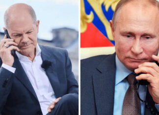 Шольц анонсировал телефонный разговор с путиным: в Кремле отреагировали