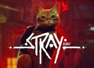 Stray станет доступна на Xbox уже 10-го августа