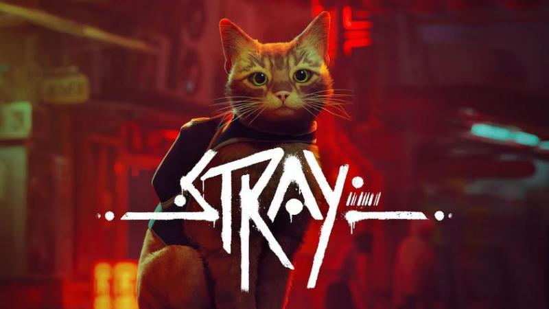 Stray будет доступен на Xbox 10 августа