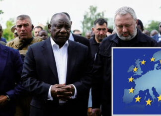 В ЕС назвали условие, при котором не поддержат мирный план африканских лидеров по Украине