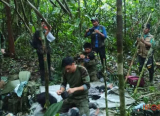 В Колумбии нашли детей, которые 40 дней провели в джунглях
