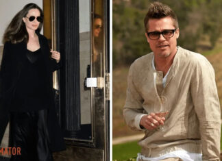 Брэд Питт и Анджелина Джоли: винная битва закончилась временным перемирием