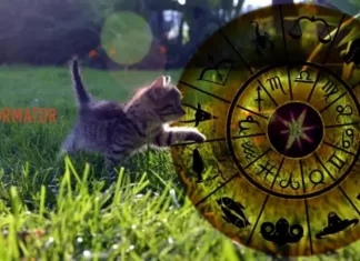 Гороскоп на 30 июля для всех знаков Зодиака: хороший день для общения, если говорить не о делах