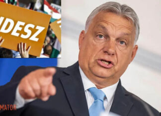 Партия Орбана поставила под сомнение ратификацию Швеции в НАТО – подробности