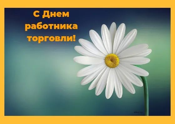 Поздравления с днем ​​работников торговли в стихах, прозе и смс. Открытка к празднику