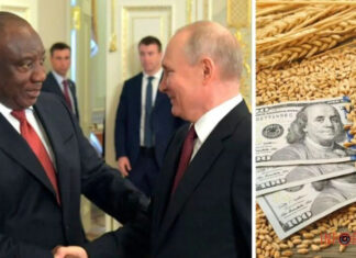 Путин подкупает Африку после выхода из зерновой сделки: что наобещал