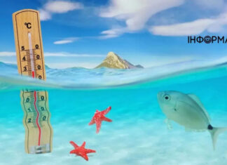 Температура моря превращается в сауну. Это уже тревожный рекорд