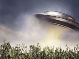 В Конгрессе США бывший военный под присягой заявил о существовании НЛО: какая реакция у Пентагона