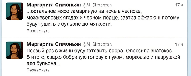 «Бобер» для боброеда? Пропагандистка Симоньян пожаловалась, что возле ее дома в очередной раз упал дрон