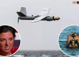 «Бобер» для боброедки? Пропагандистка Симоньян пожаловалась, что возле ее дома в очередной раз упал дрон