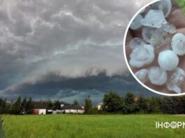 Буревой в Польше: сотни домов повреждены, поломаны деревья и линии электропередач — фото, видео