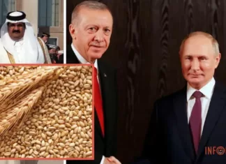 Эрдоган организует собственное зерновое соглашение с путиным: российское зерно поедет в Африку при содействии Катара — Bild