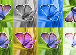 Google DeepMind разработала технологию нанесения невидимых водяных знаков на изображения, сгенерированные искусственным интеллектом