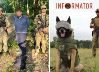 На Закарпатье мужчина призывного возраста дважды убегал от пограничников, но его поймала служебная собака